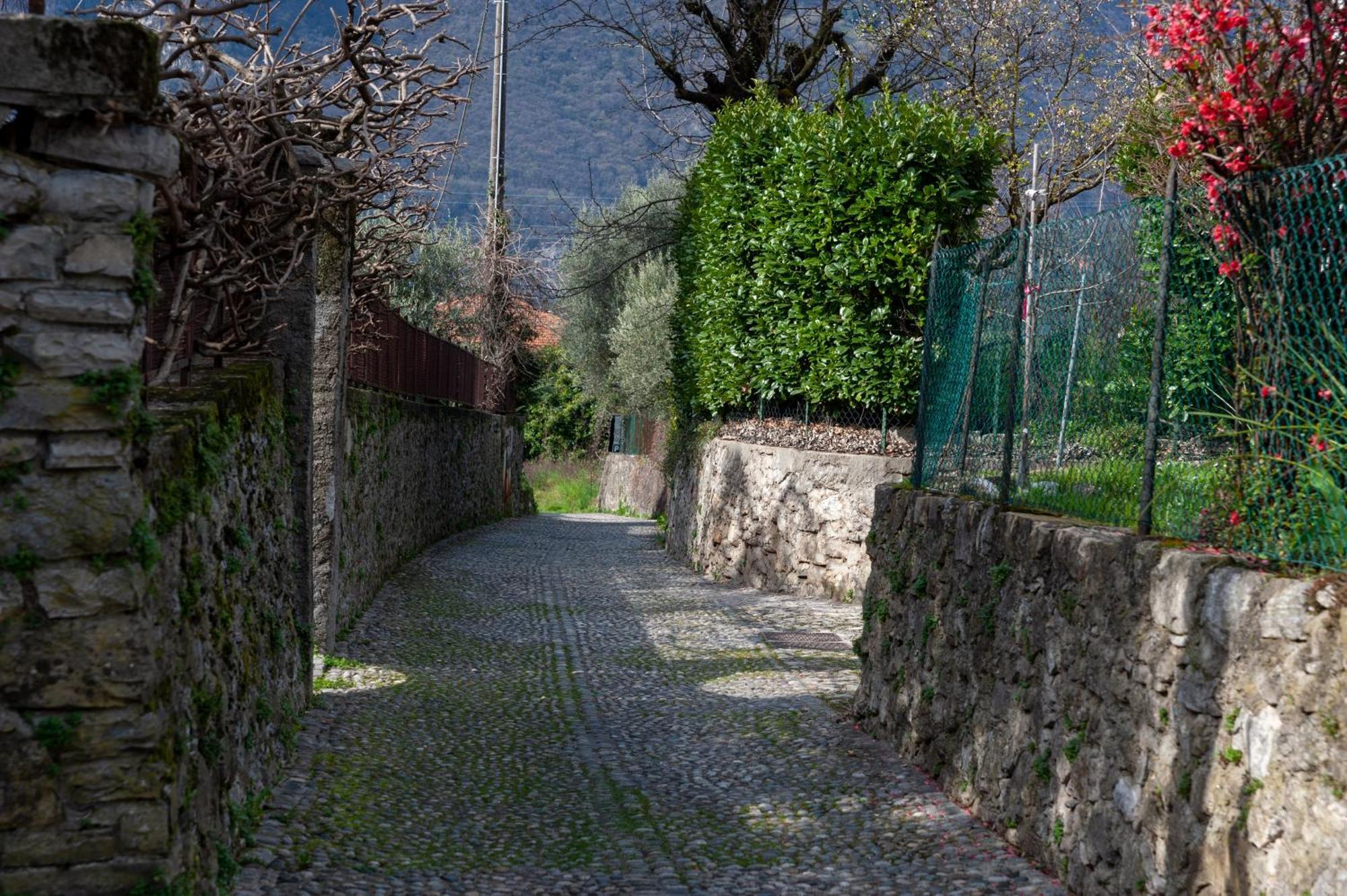 Casa Ilde Apartment Lierna Bagian luar foto
